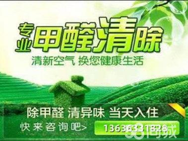 母嬰甲醛治理服務工裝家裝除甲醛工廠,空氣凈化提供甲醛檢測、汽車除醛、甲醛治理/除甲醛服務